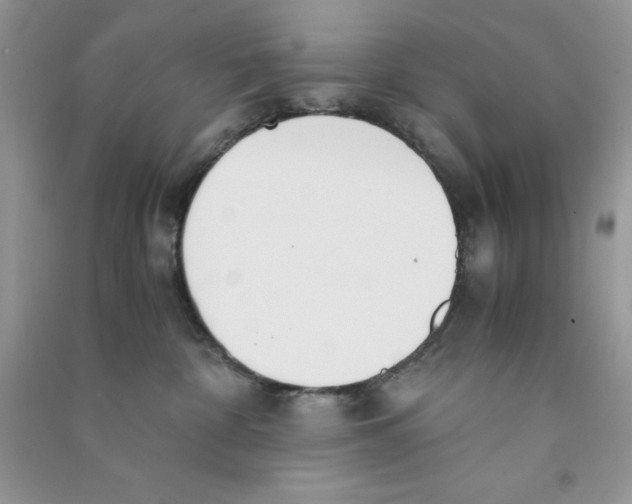 X0000090740332200708172012