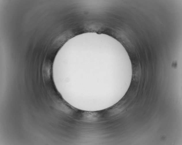 X0000090740334200708172012