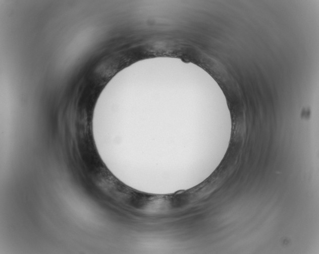 X0000090740335200708172012