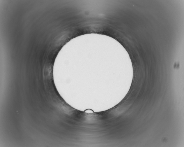 X0000090740336200708172012