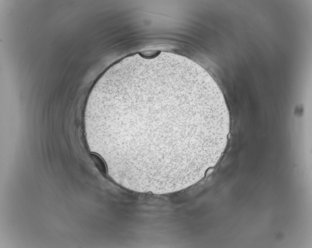 X0000090740337200708172011