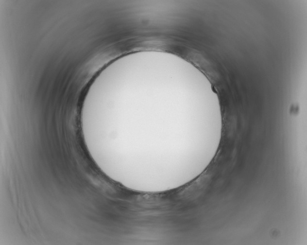 X0000090740338200708172011