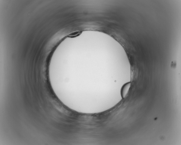 X0000090740339200708172011