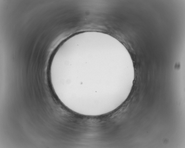 X0000090740340200708172011