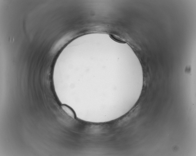 X0000090740341200708172012