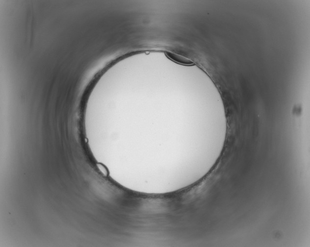 X0000090740342200708172012