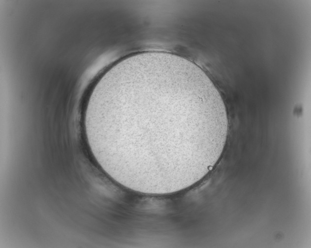 X0000090740343200708172012