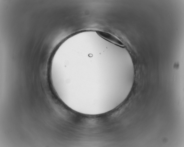 X0000090740344200708172012