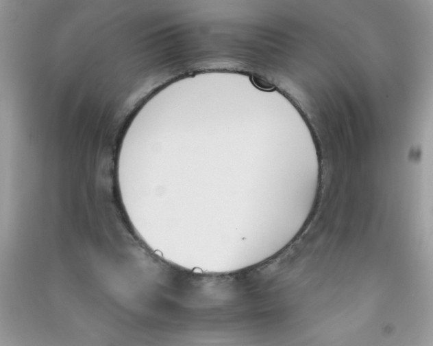 X0000090740345200708172012