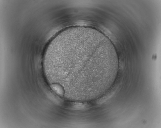 X0000090740347200708172012