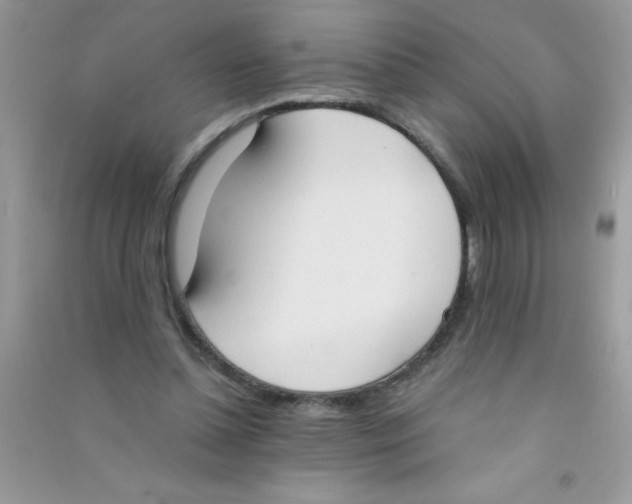 X0000090740348200708172012