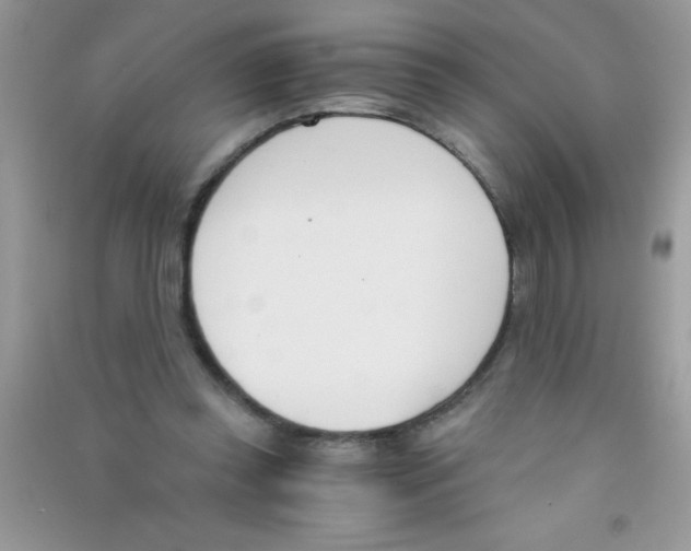 X0000090740349200708172012