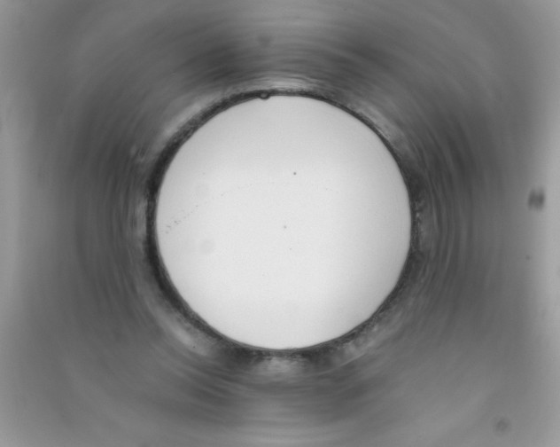 X0000090740350200708172012