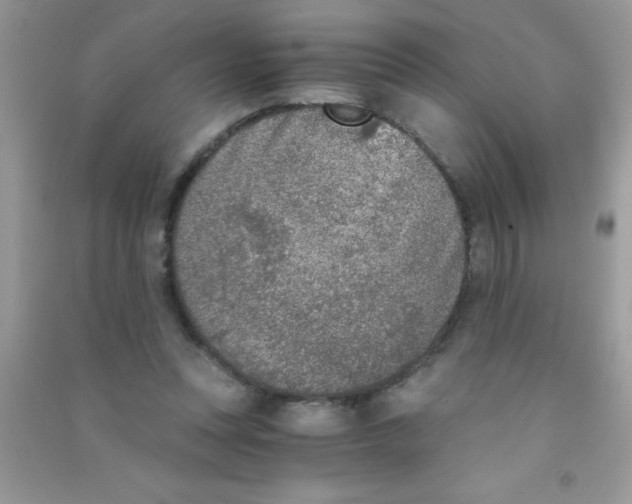 X0000090740351200708172012