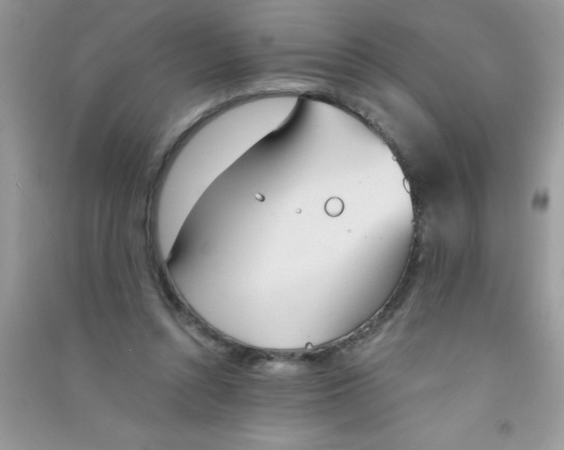 X0000090740352200708172012