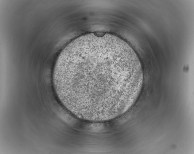 X0000090740353200708172012