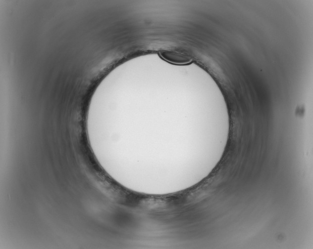 X0000090740354200708172012