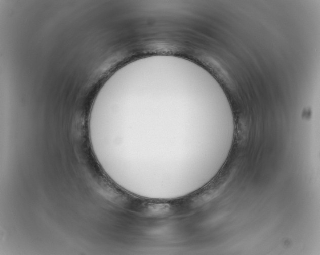 X0000090740355200708172012