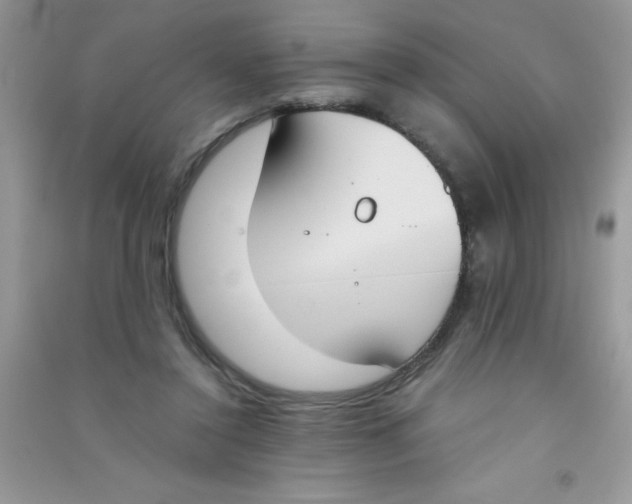 X0000090740356200708172012