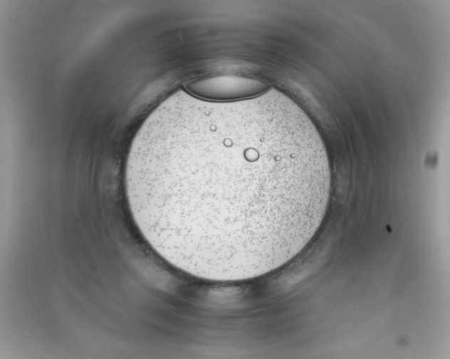 X0000090740357200708172012