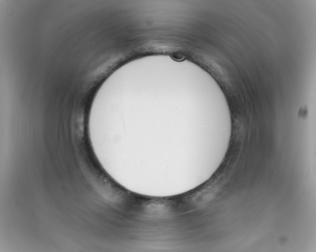 X0000090740358200708172012