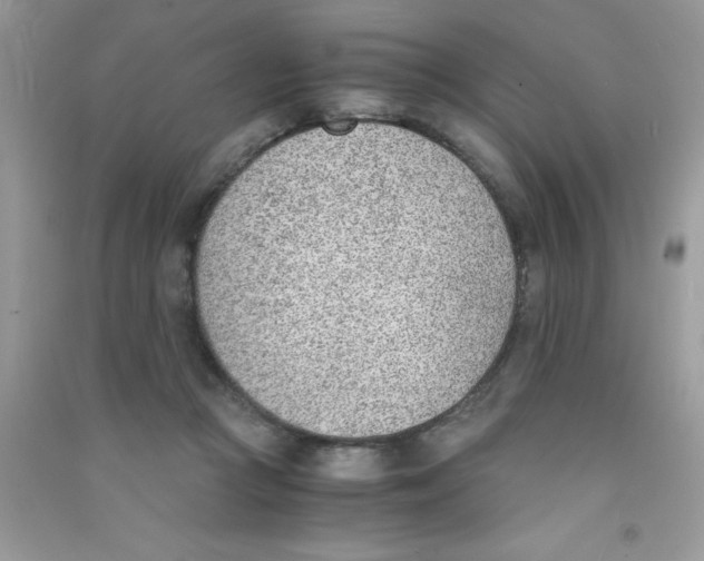 X0000090740361200708172012