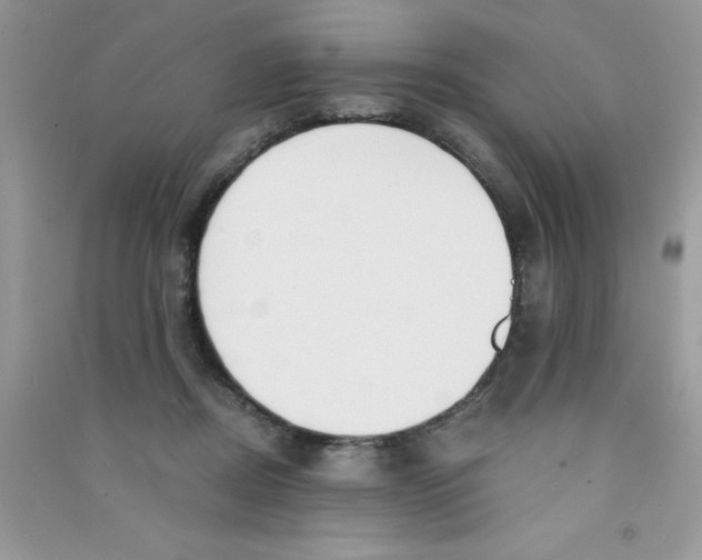 X0000090740362200708172012