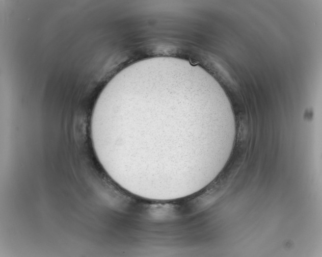 X0000090740363200708172012