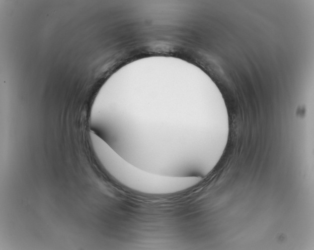 X0000090740364200708172012