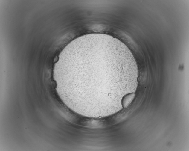 X0000090740365200708172012