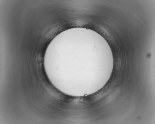 X0000090740366200708172012