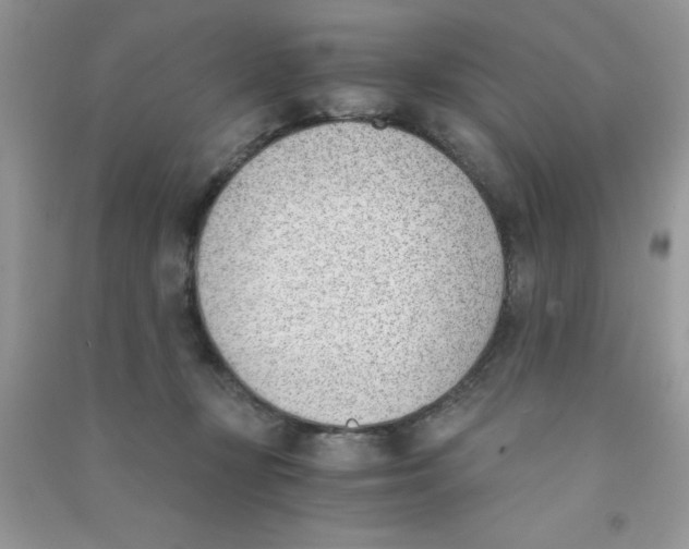 X0000090740367200708172012