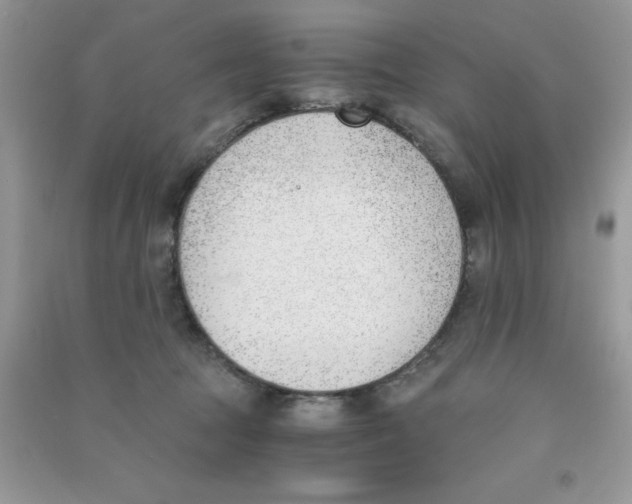 X0000090740369200708172012