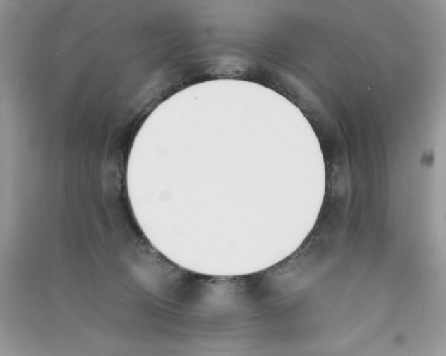 X0000090740370200708172012