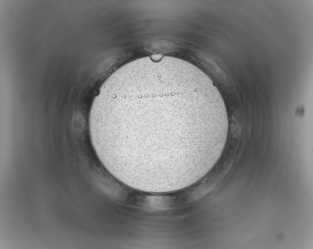 X0000090740371200708172012