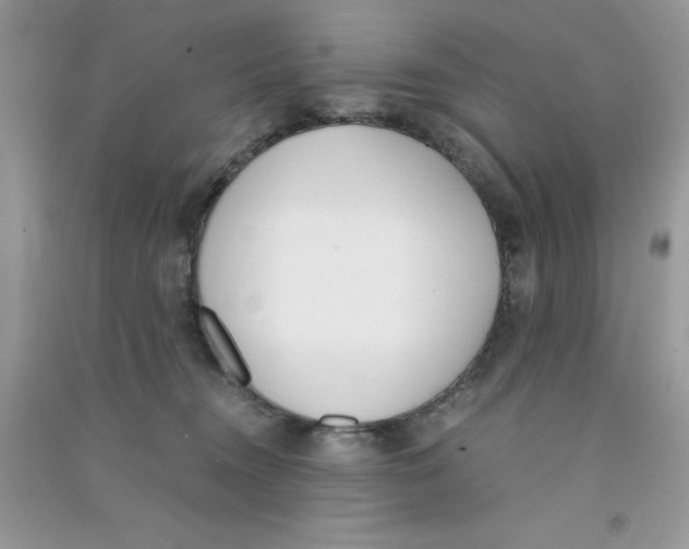 X0000090740372200708172012