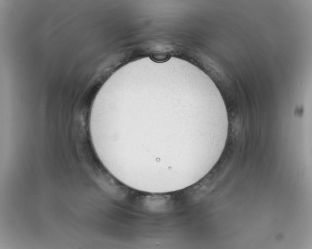 X0000090740373200708172012