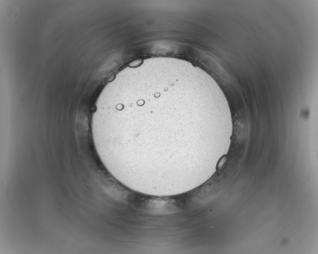 X0000090740375200708172012