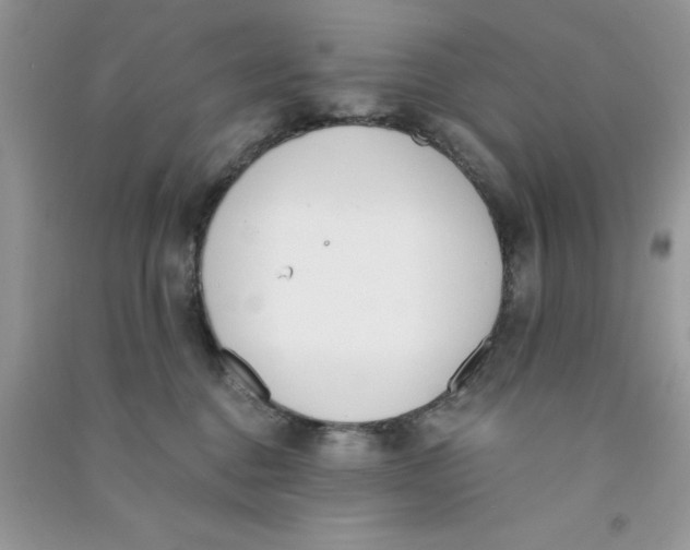 X0000090740376200708172012