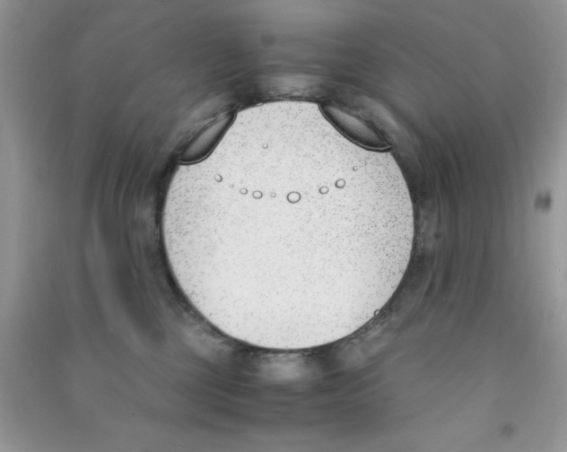 X0000090740377200708172012