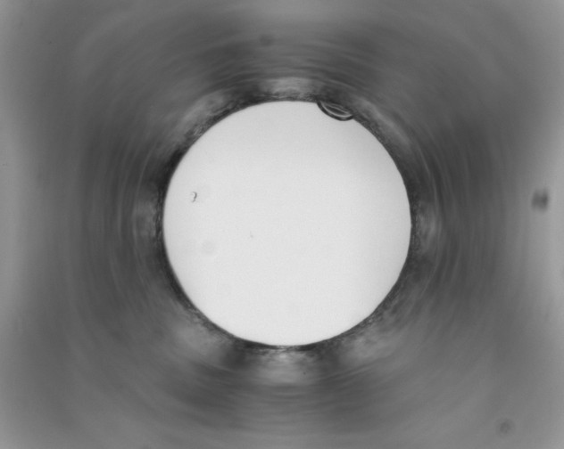 X0000090740379200708172012