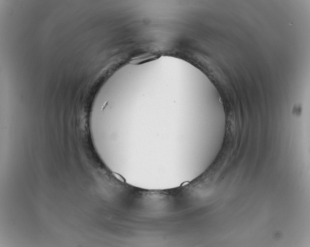 X0000090740380200708172012