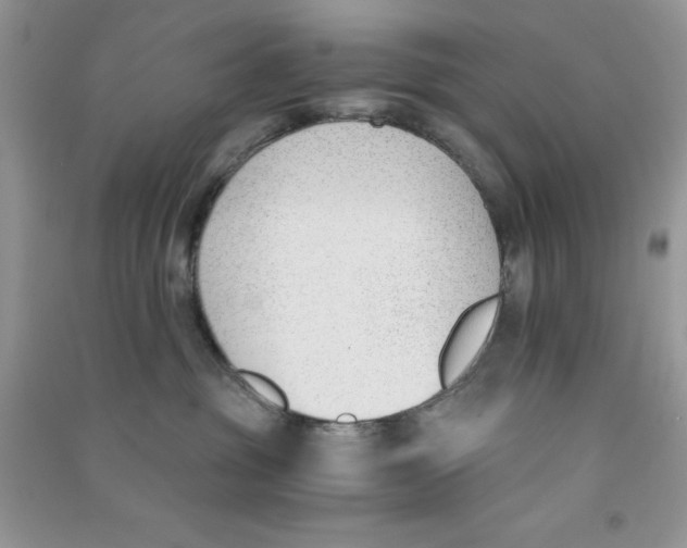 X0000090740381200708172012