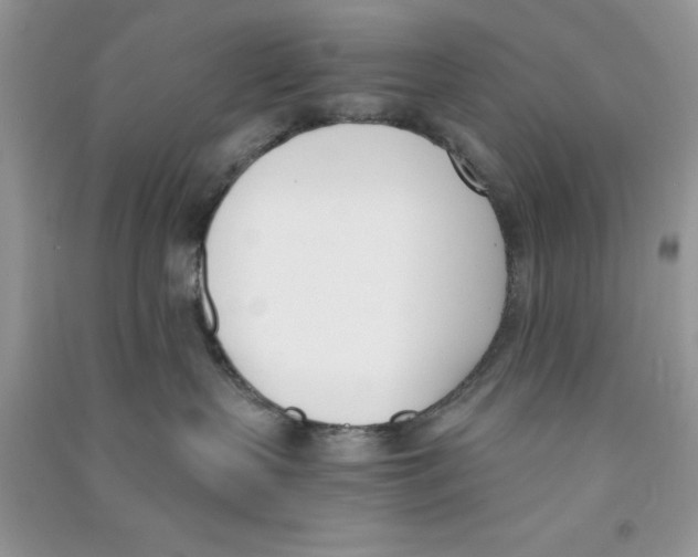 X0000090740383200708172012