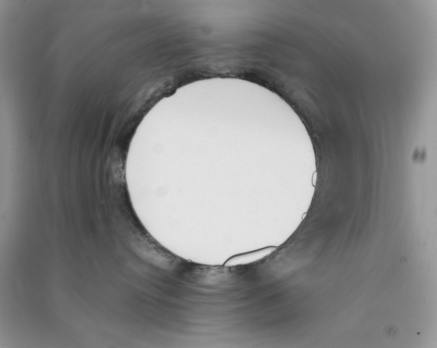 X0000090740384200708172012