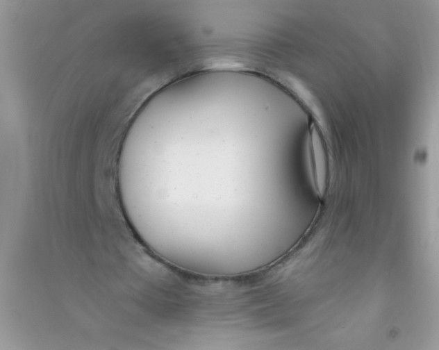 X0000090740385200708172011