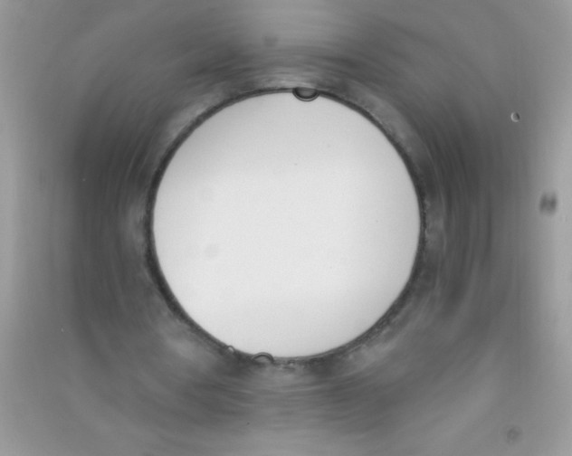 X0000090740386200708172011