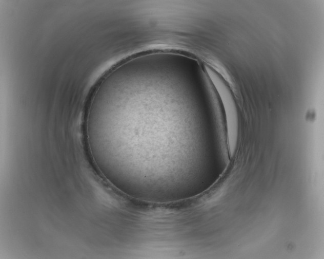 X0000090740387200708172011