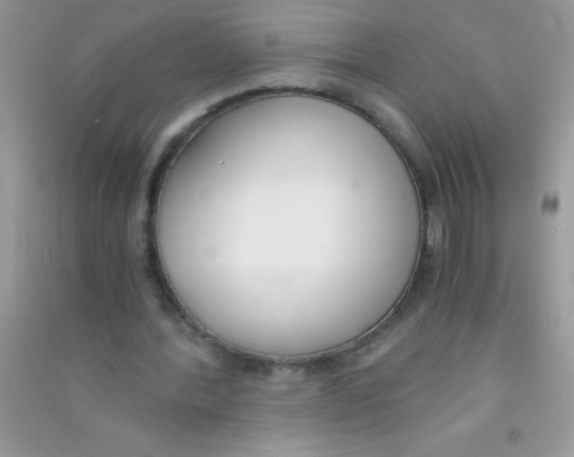 X0000090740388200708172011