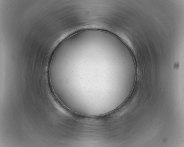 X0000090740389200708172011